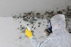 Best Crawl Space Mold Remediation  in Dasher, GA